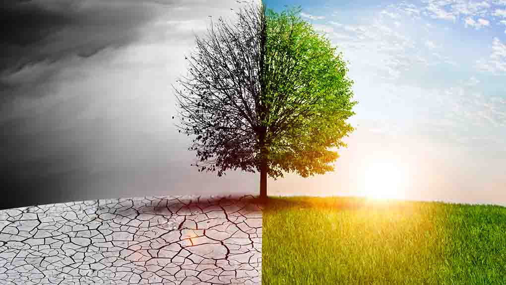 Pourquoi le climat change et affecte notre vie quotidienne ? post thumbnail image